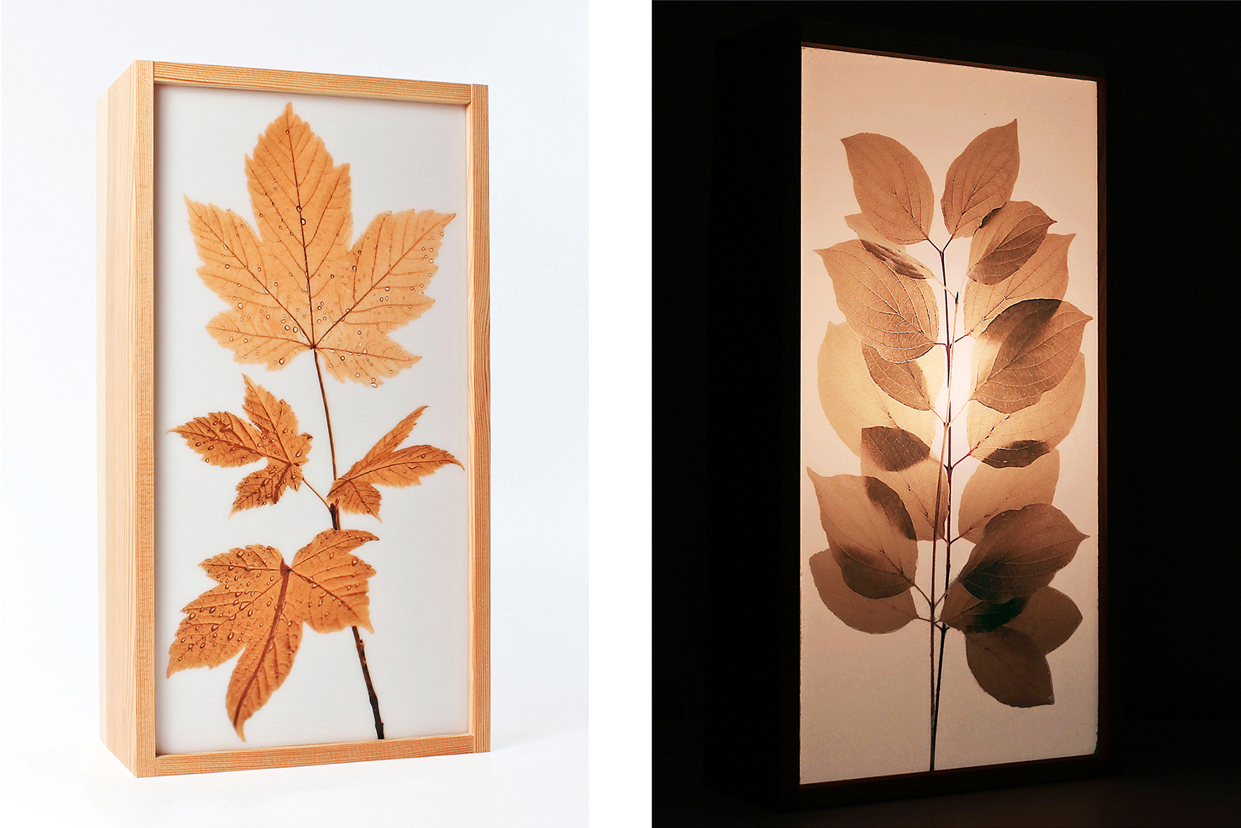 Leuchte "AUTUMN"