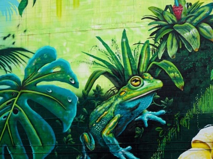 Leiner Graffiti Wettbewerb