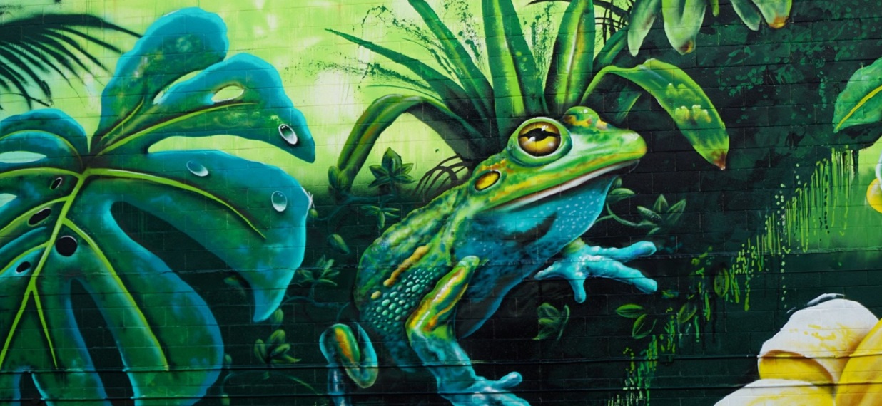 Graffiti Natur