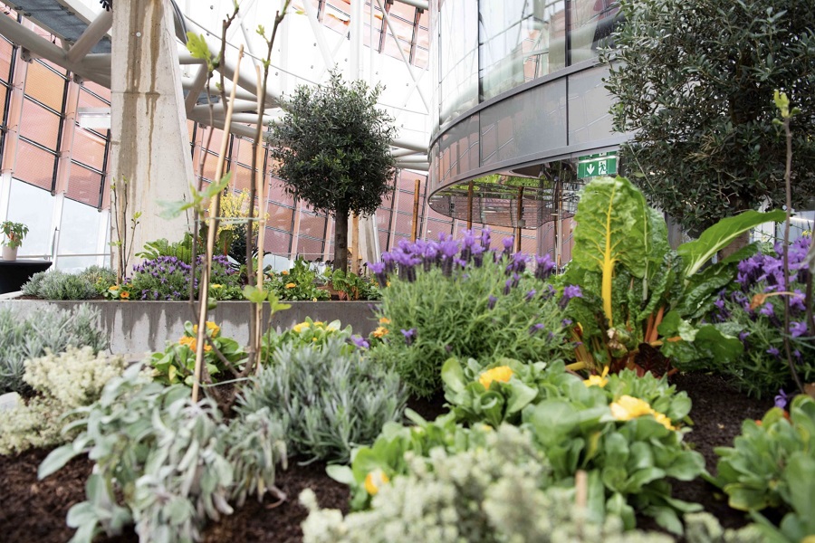 Rooftop Farming © Joanneum Research Rooftop Farming