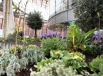 Science Tower Urban Farming